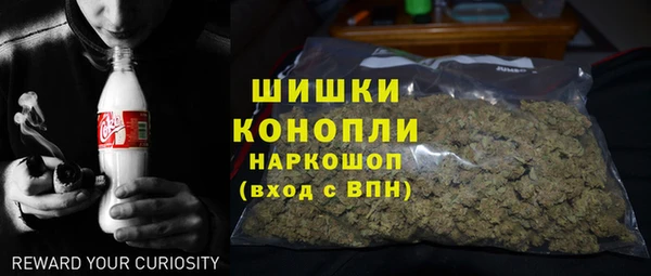 гидропоника Алзамай
