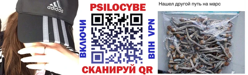 где купить наркотик Анжеро-Судженск Псилоцибиновые грибы Psilocybe