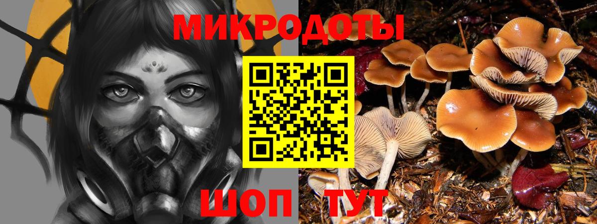 Псилоцибиновые грибы Magic Shrooms Анжеро-Судженск