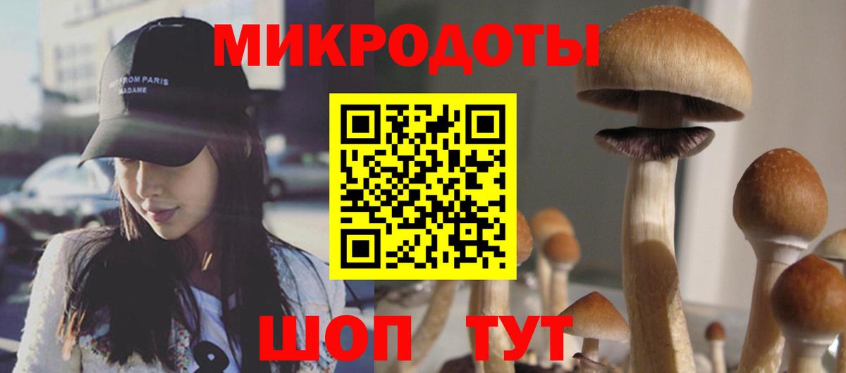 Псилоцибиновые грибы прущие грибы  дарнет шоп  Анжеро-Судженск  Вход с VPN  Псилоцибиновые грибы MAGIC MUSHROOMS 