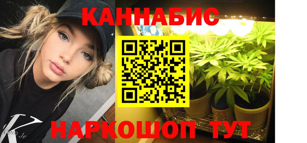 Канабис планчик  Конопля планчик  Канабис THC 21%  Каннабис LSD WEED  Вход с VPN  Анжеро-Судженск 